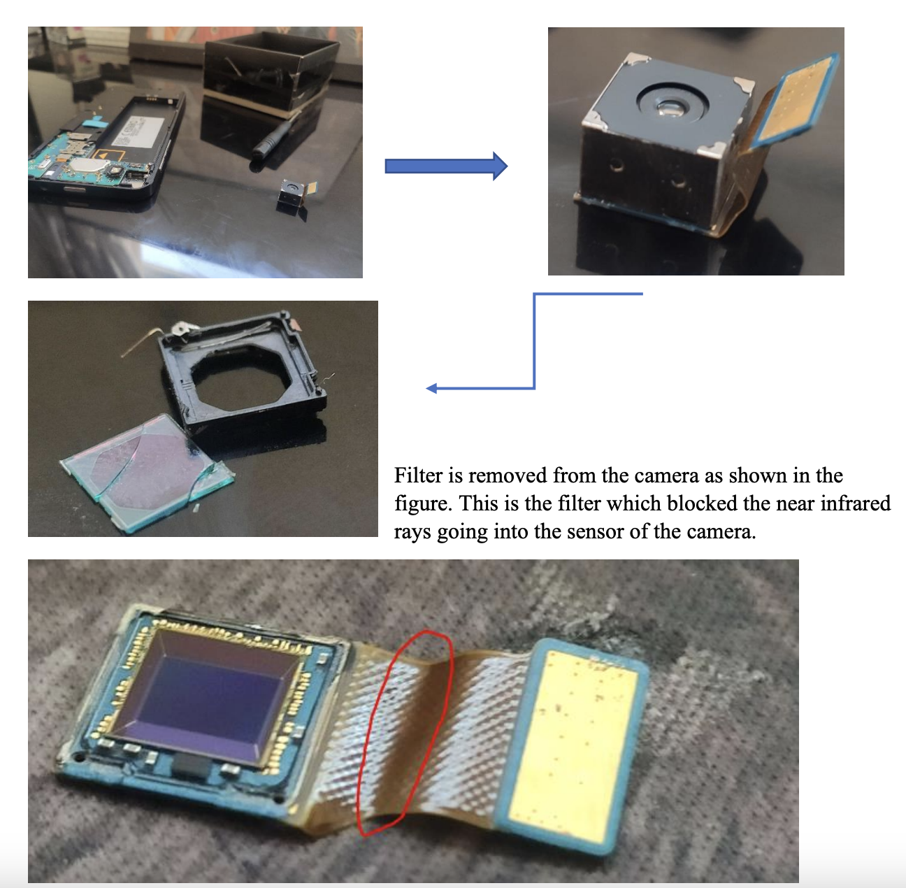 Camera System and Image Processing for NDVI: