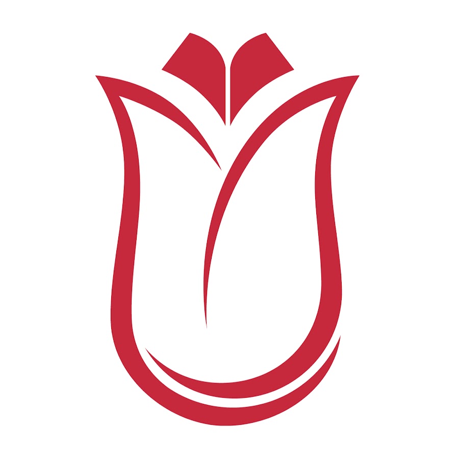 Istanbul University Logo